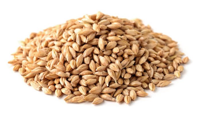 Boort Malt Boort Malt