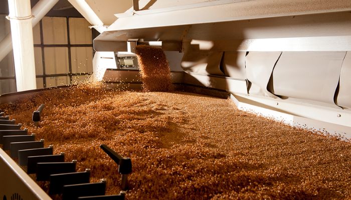 Malting Malting