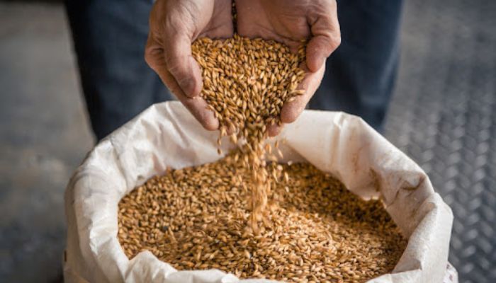 Viking Malt Viking Malt